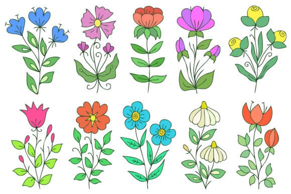 Download Colorful Cute Flowers - Cute flowers Collection